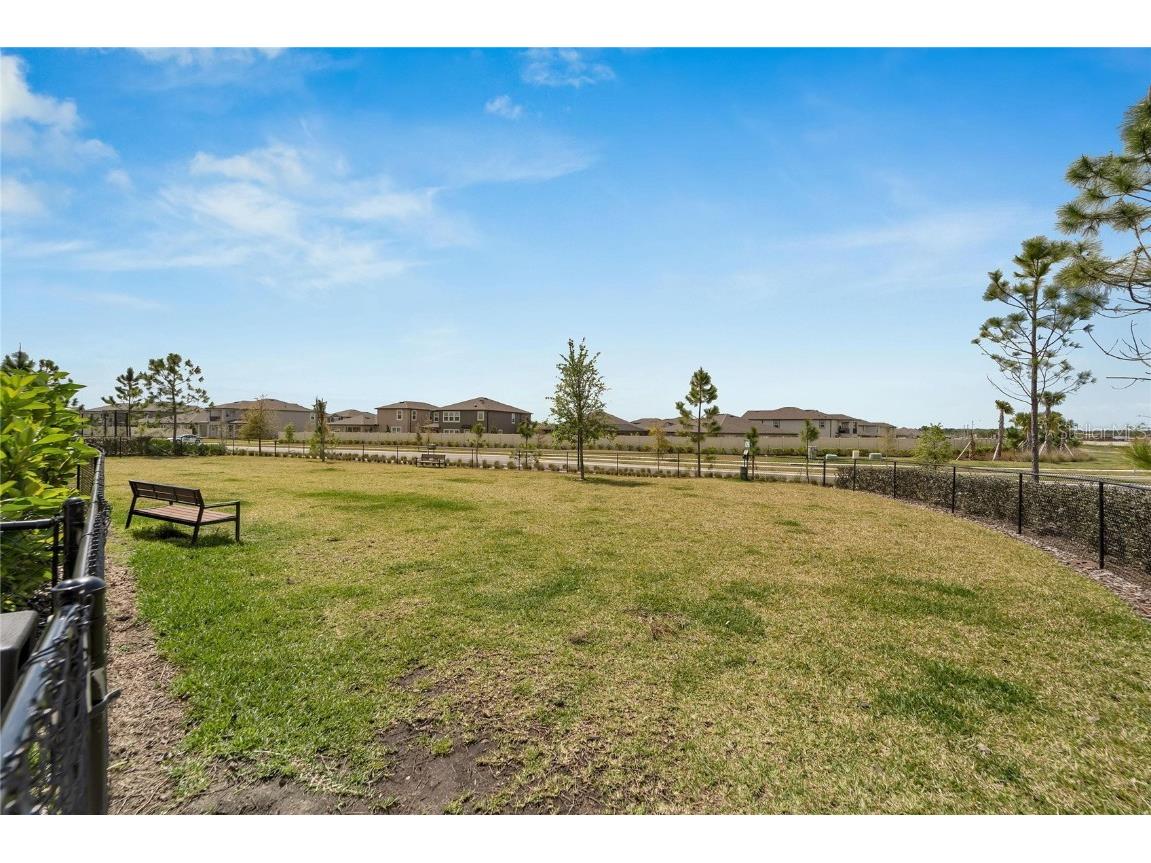 3186 Oyster Cove Street Wimauma FL 33598 TB8395954 image67