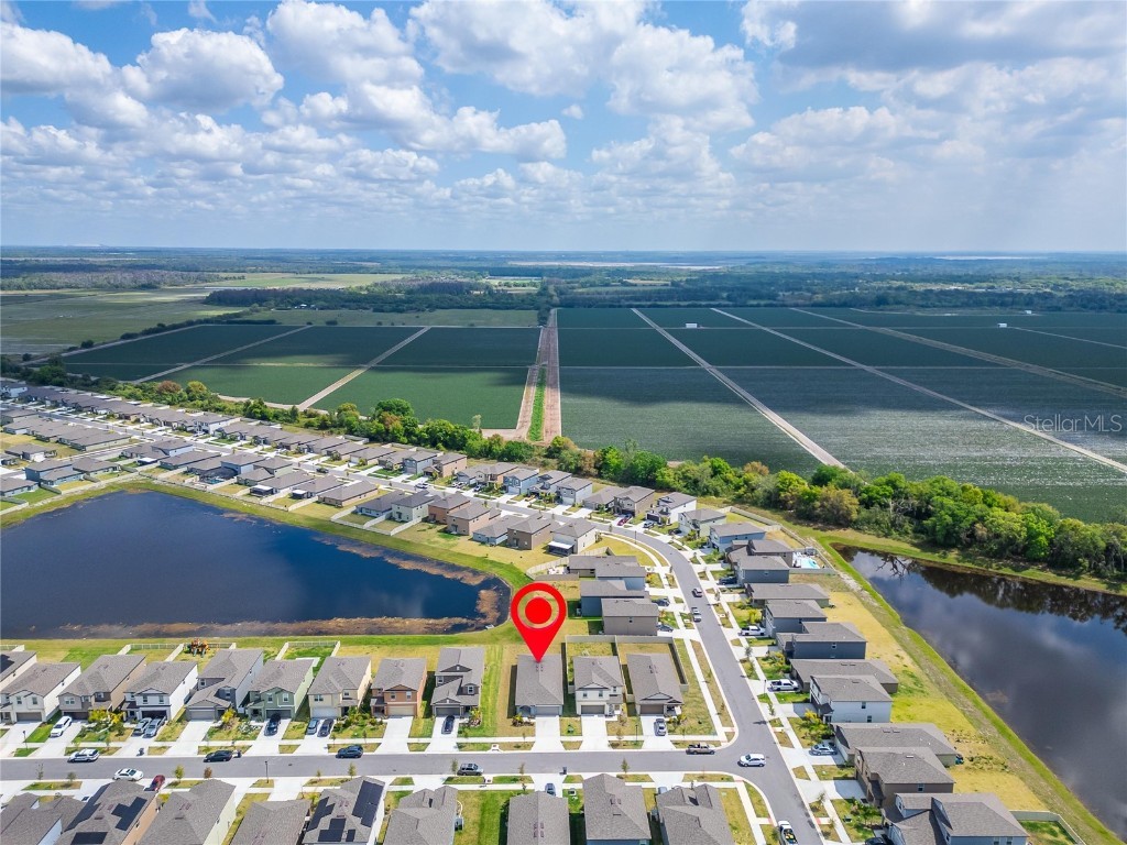 3186 Oyster Cove Street Wimauma FL 33598 TB8395954 image80