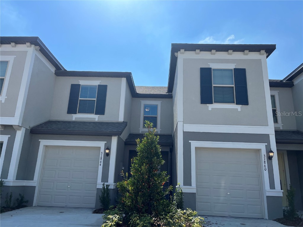 31864 Blue Passing Loop Wesley Chapel FL 33545 T3430864 image1