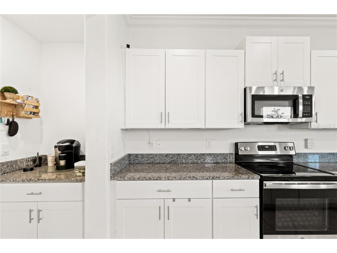 31865 Blue Passing Loop Wesley Chapel FL 33545 TB8454928 image11