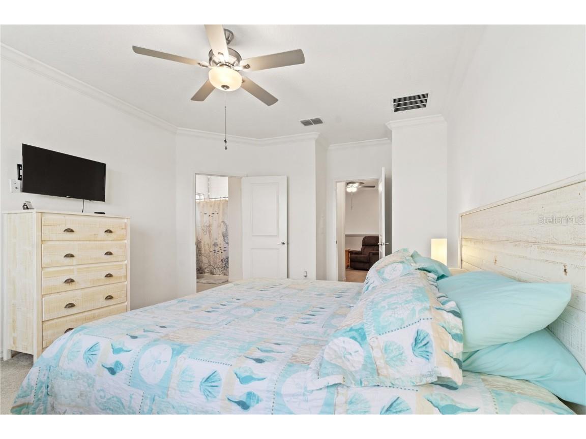 31865 Blue Passing Loop Wesley Chapel FL 33545 TB8454928 image17