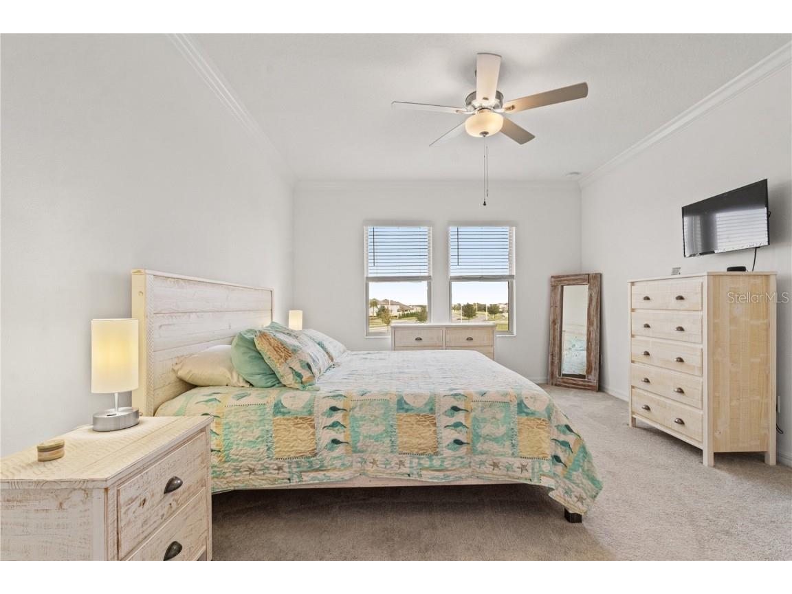 31865 Blue Passing Loop Wesley Chapel FL 33545 TB8454928 image18