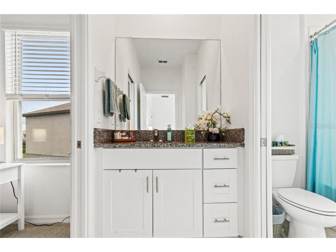 31865 Blue Passing Loop Wesley Chapel FL 33545 TB8454928 image29