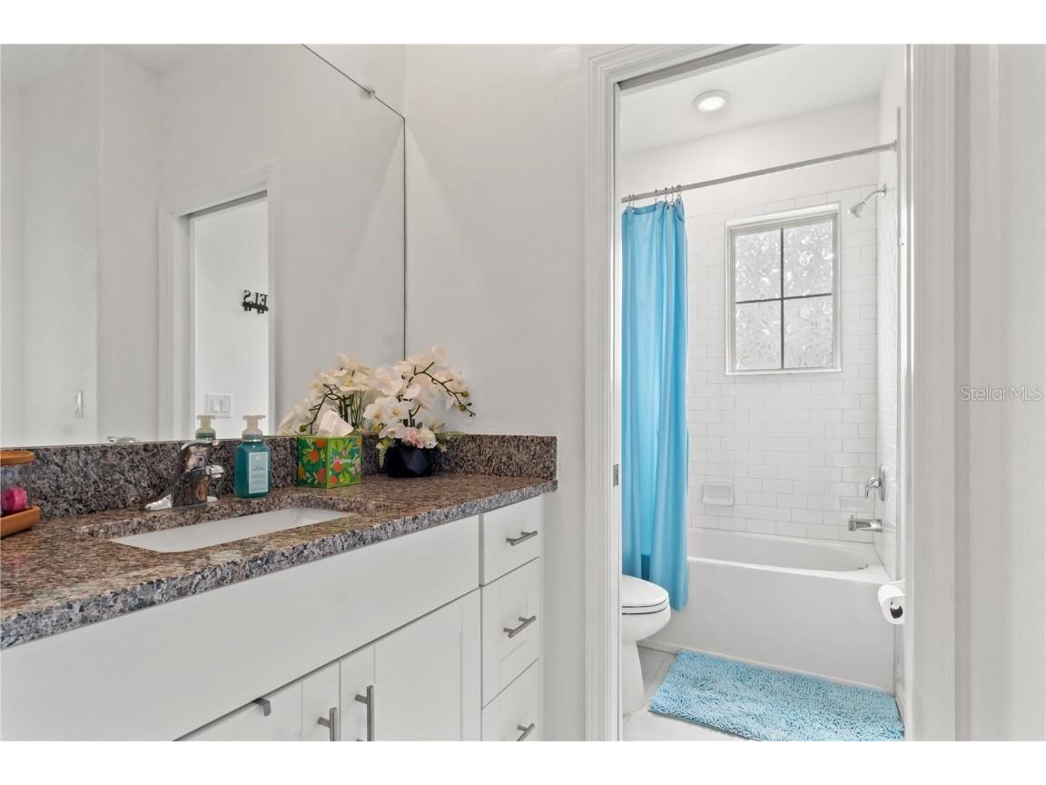 31865 Blue Passing Loop Wesley Chapel FL 33545 TB8454928 image30