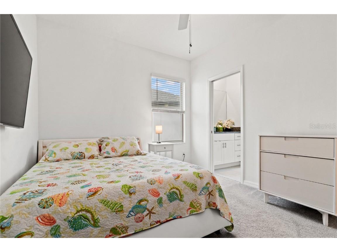 31865 Blue Passing Loop Wesley Chapel FL 33545 TB8454928 image32