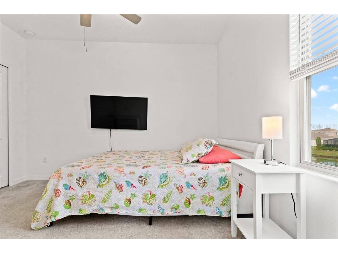 31865 Blue Passing Loop Wesley Chapel FL 33545 TB8454928 image33