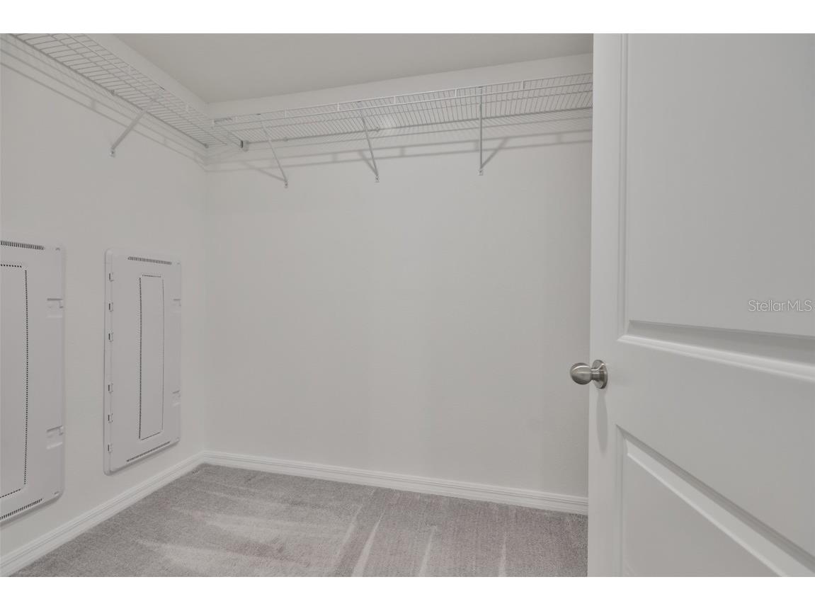 31867 Barrel Wave Way Wesley Chapel FL 33545 TB8451997 image23