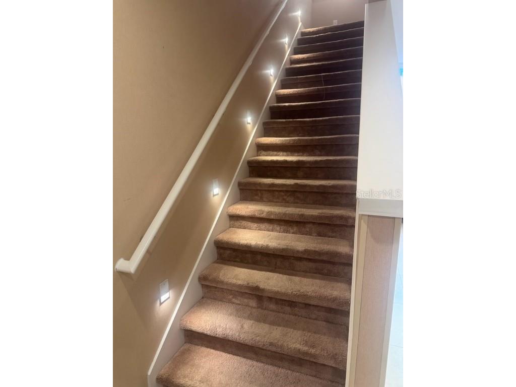 3187 Brasilia Avenue Kissimmee FL 34747 O6333196 image22