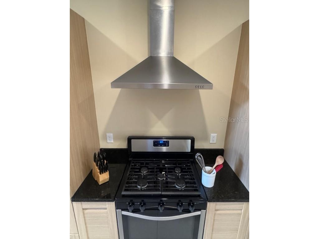 3187 Brasilia Avenue Kissimmee FL 34747 O6333196 image7