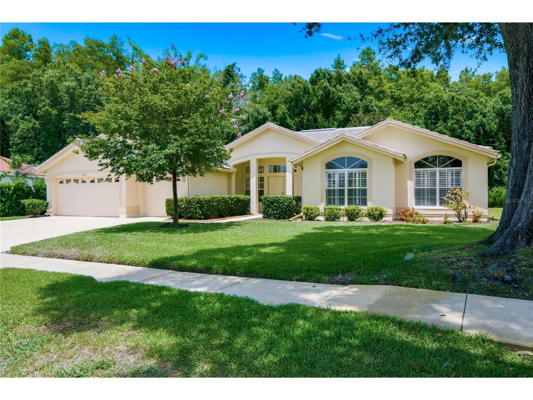 3187 Sterling Street Tarpon Springs FL 34688 TB8526409 image1