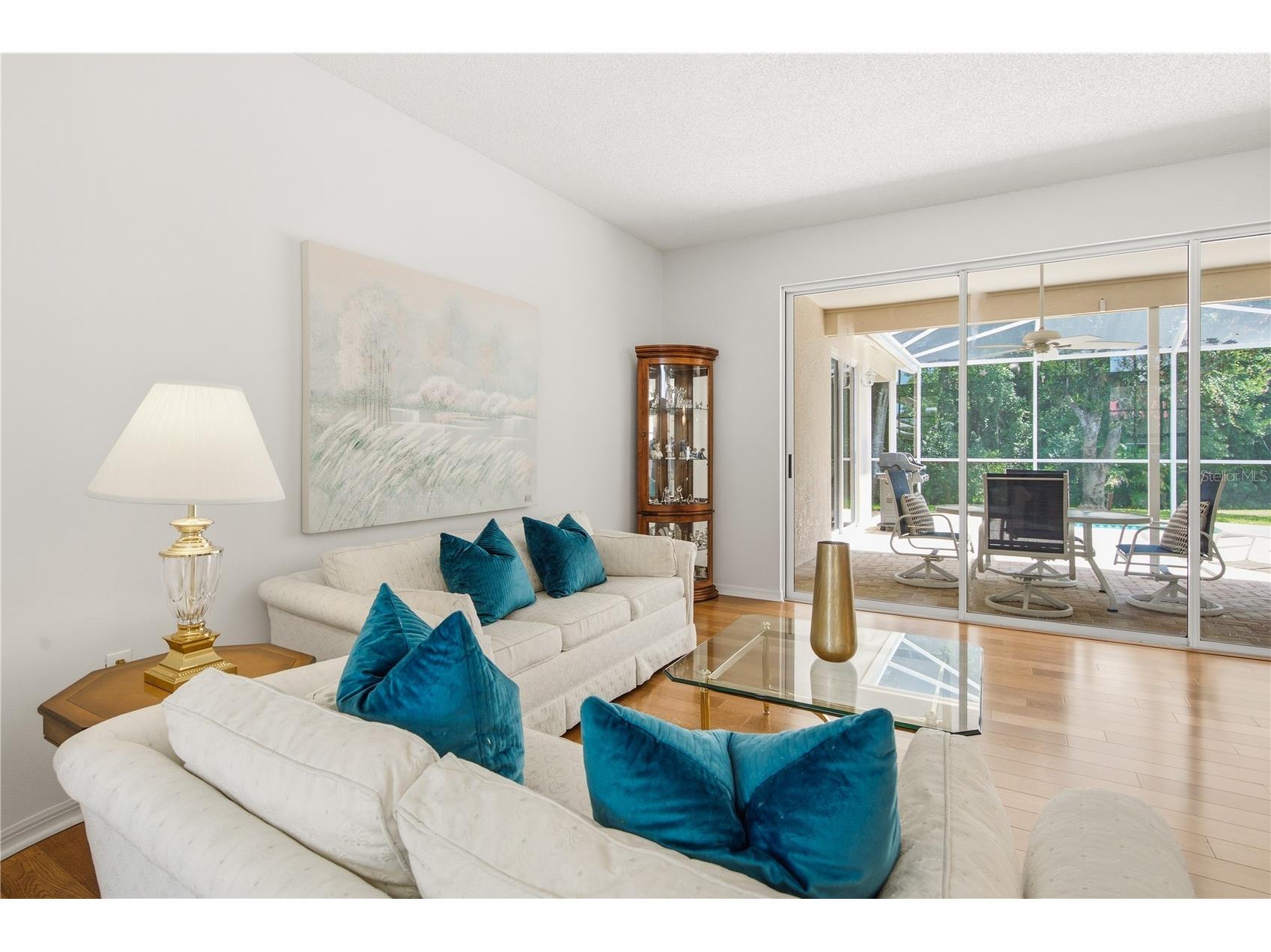 3187 Sterling Street Tarpon Springs FL 34688 TB8526409 image13