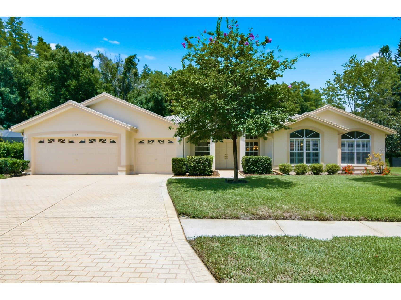 3187 Sterling Street Tarpon Springs FL 34688 TB8526409 image3