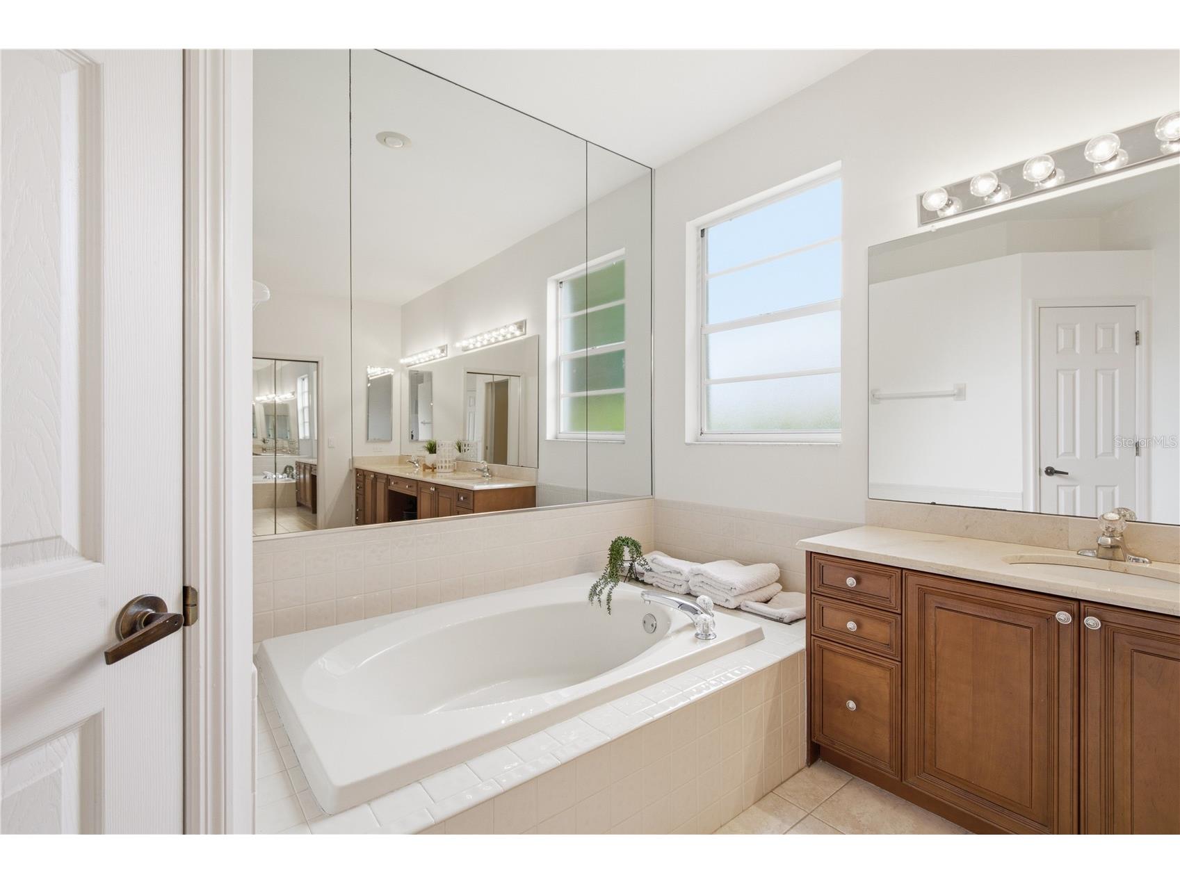 3187 Sterling Street Tarpon Springs FL 34688 TB8526409 image31
