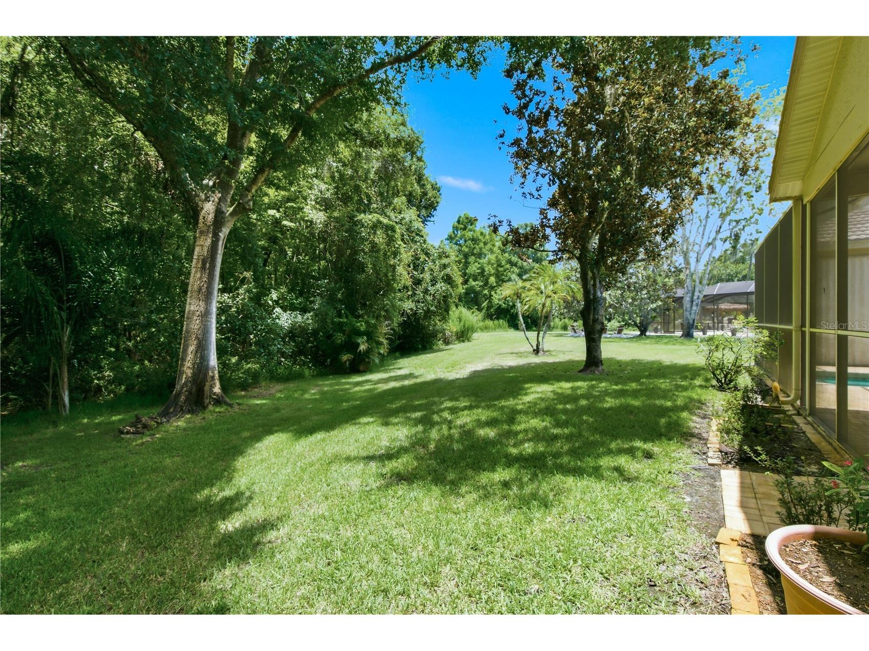 3187 Sterling Street Tarpon Springs FL 34688 TB8526409 image53