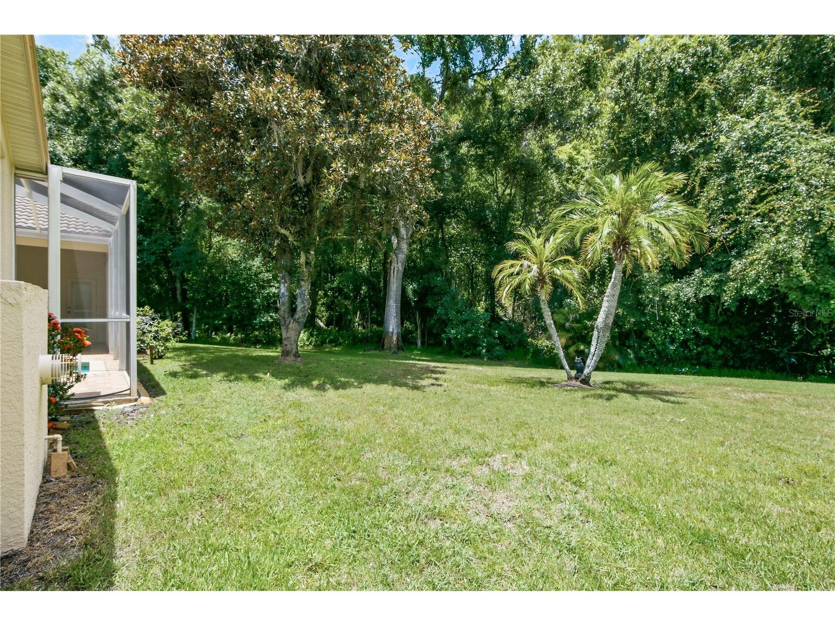 3187 Sterling Street Tarpon Springs FL 34688 TB8526409 image57