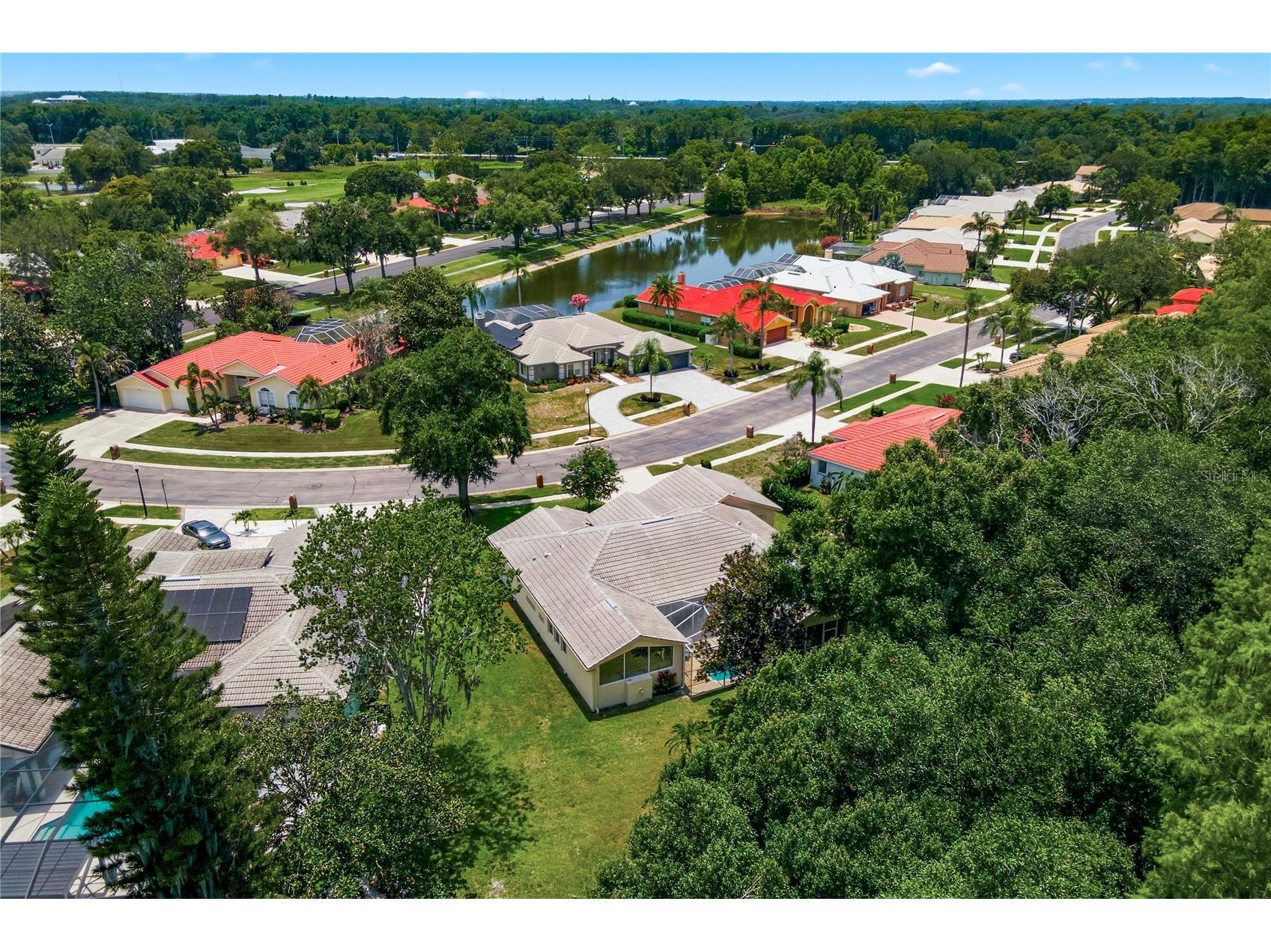 3187 Sterling Street Tarpon Springs FL 34688 TB8526409 image60