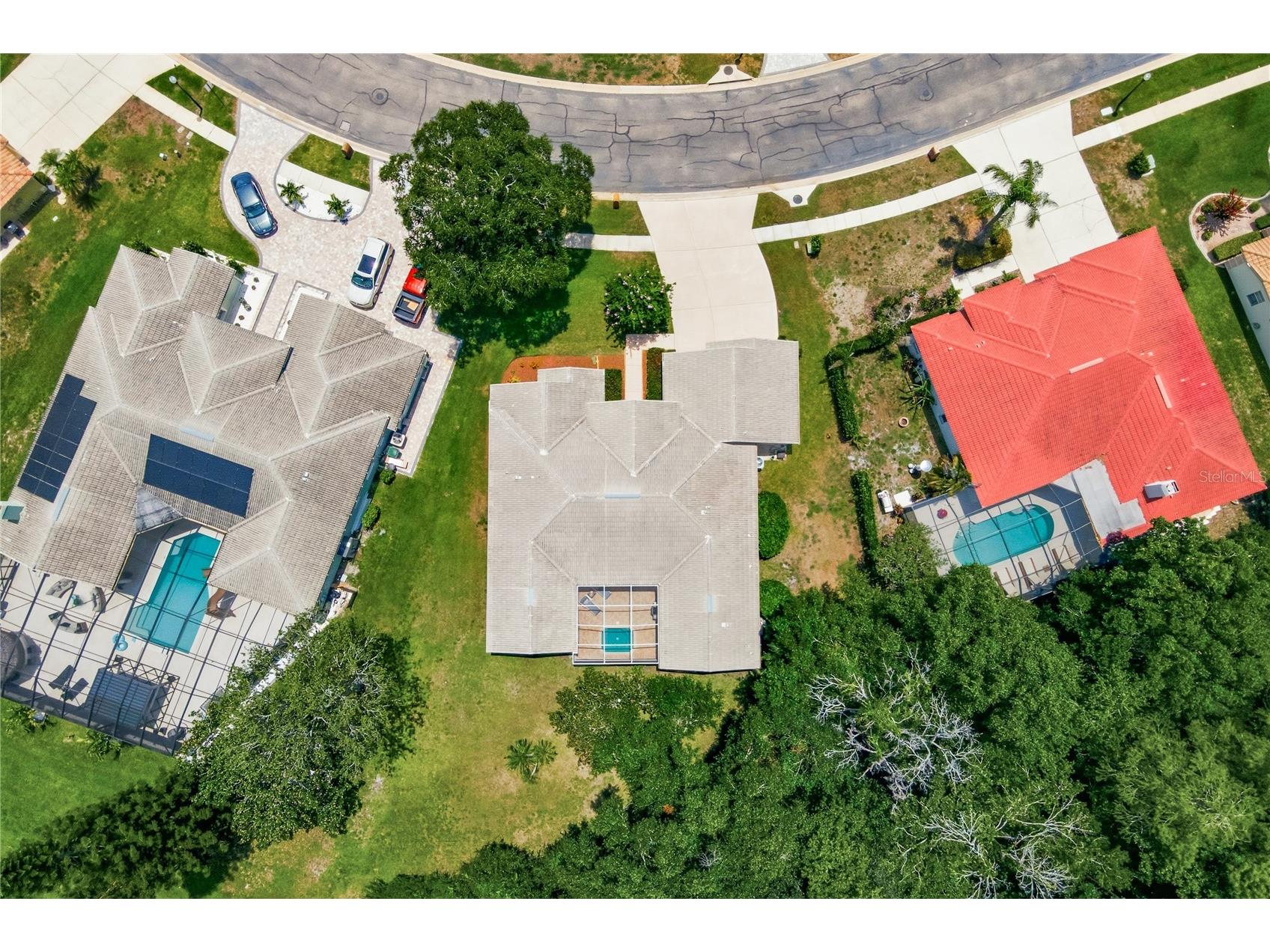 3187 Sterling Street Tarpon Springs FL 34688 TB8526409 image61