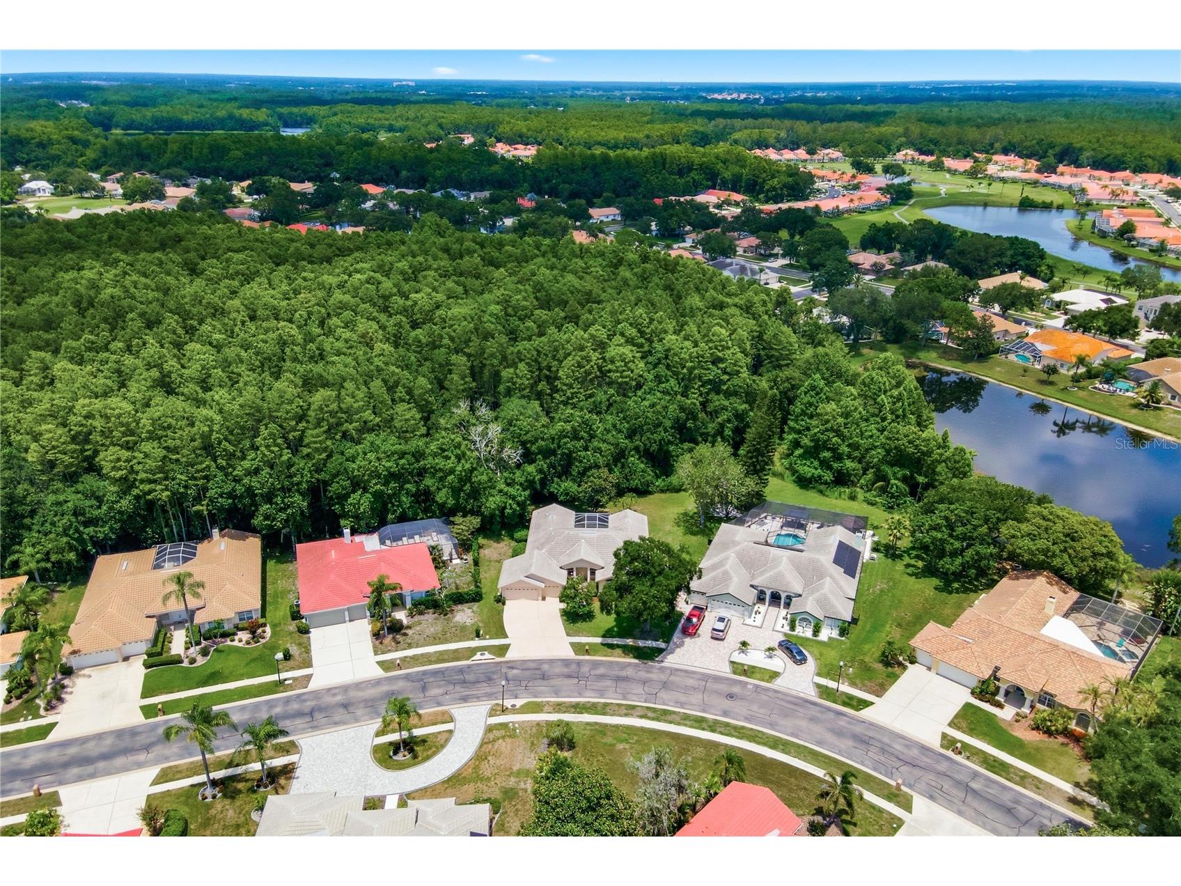 3187 Sterling Street Tarpon Springs FL 34688 TB8526409 image63
