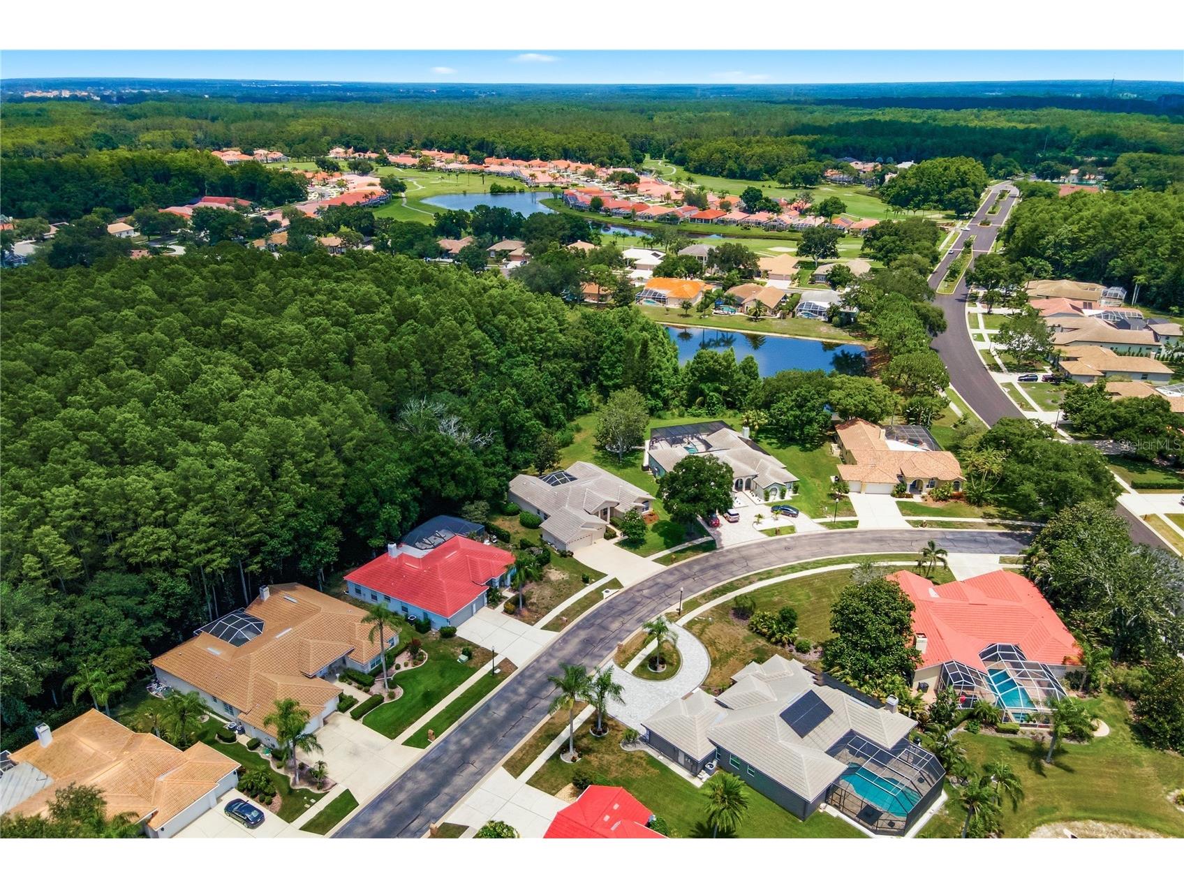 3187 Sterling Street Tarpon Springs FL 34688 TB8526409 image65