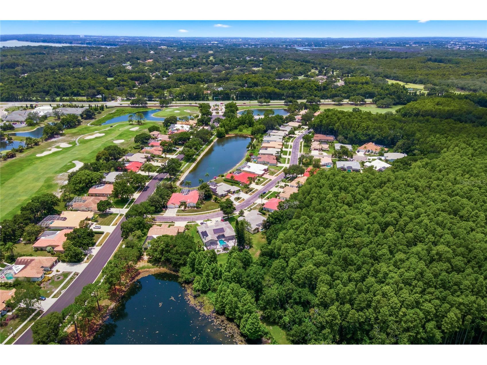 3187 Sterling Street Tarpon Springs FL 34688 TB8526409 image66