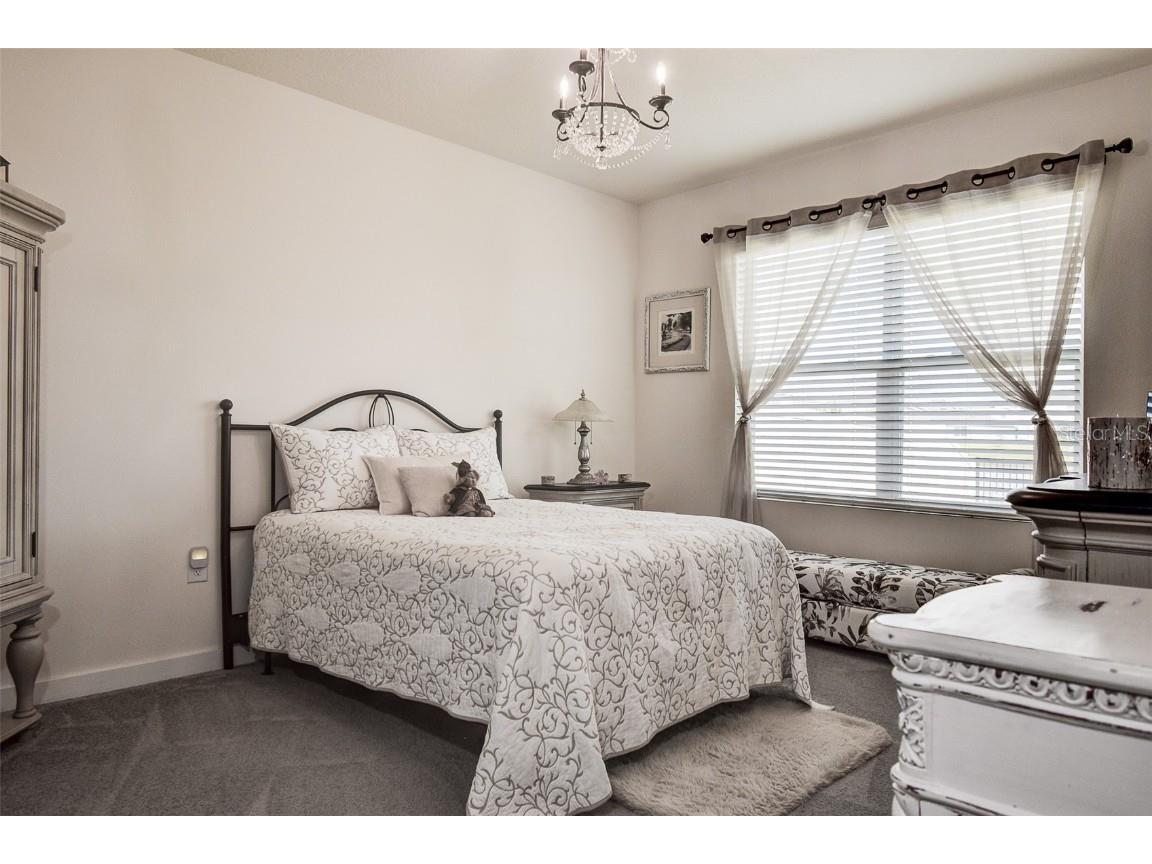 31871 Treasure Dock Isle Wesley Chapel FL 33545 TB8427627 image13