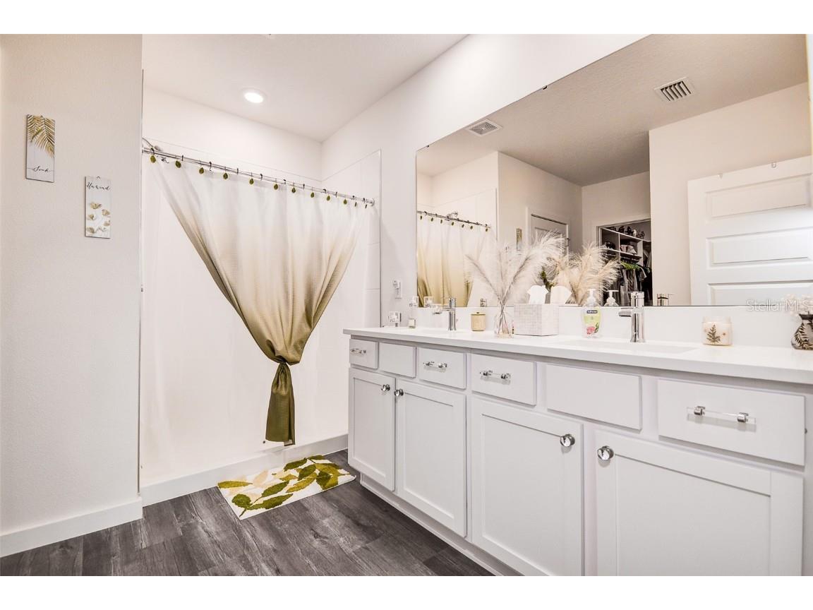 31871 Treasure Dock Isle Wesley Chapel FL 33545 TB8427627 image17