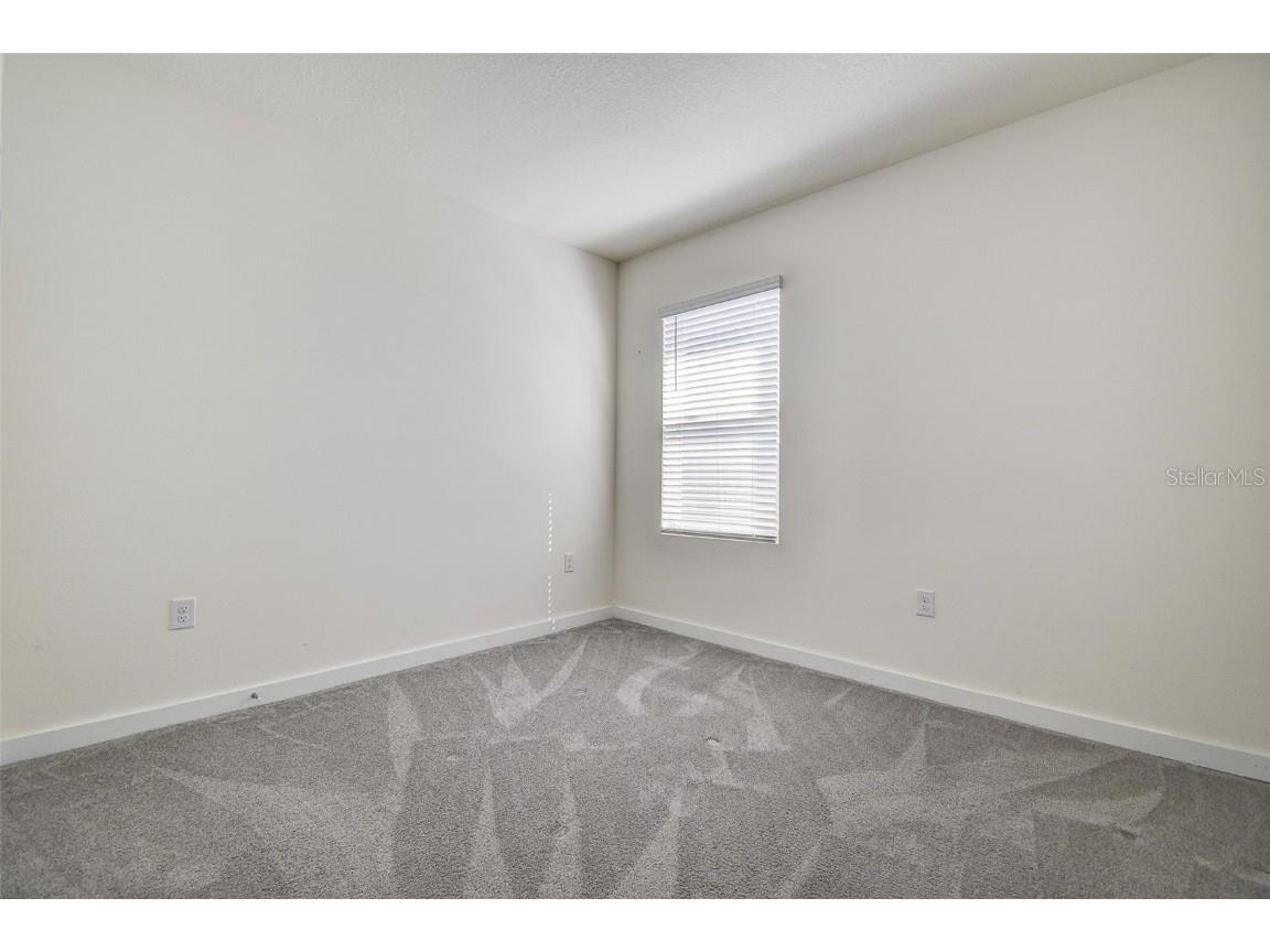 31871 Treasure Dock Isle Wesley Chapel FL 33545 TB8427627 image19