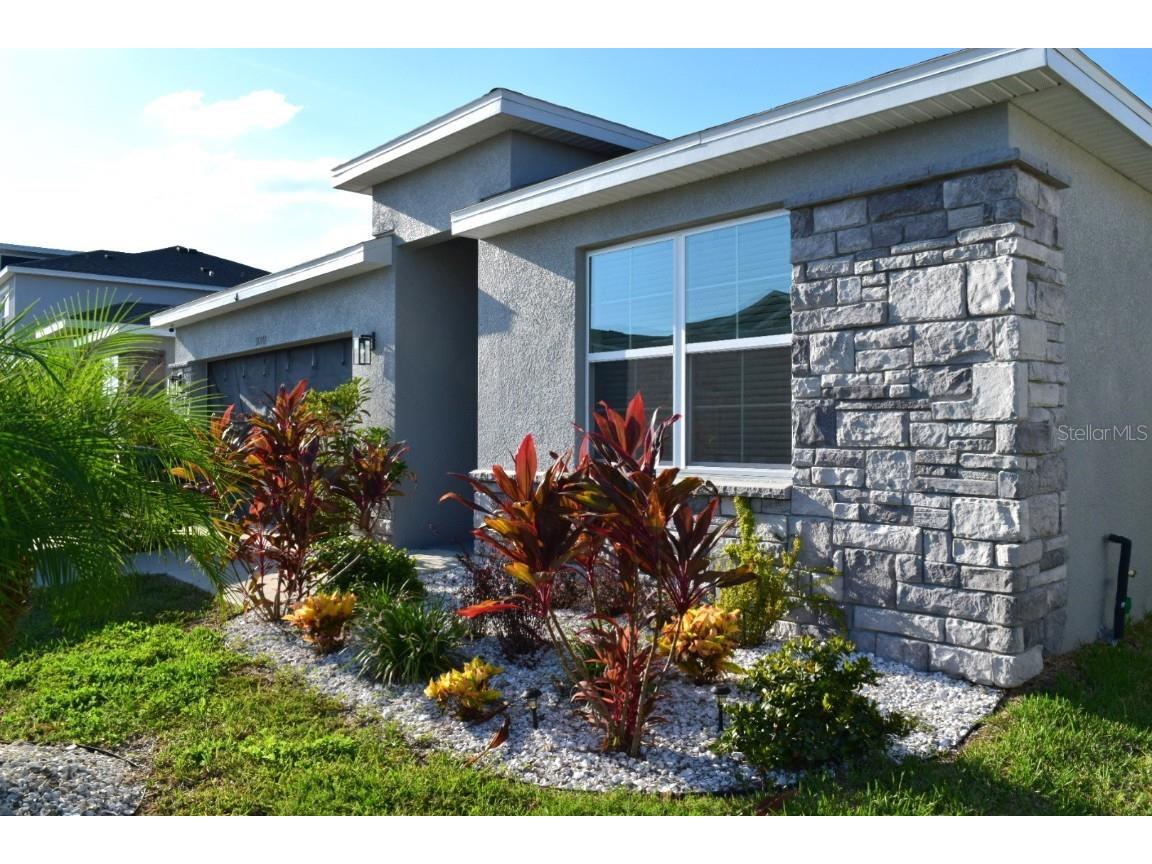 31871 Treasure Dock Isle Wesley Chapel FL 33545 TB8427627 image2