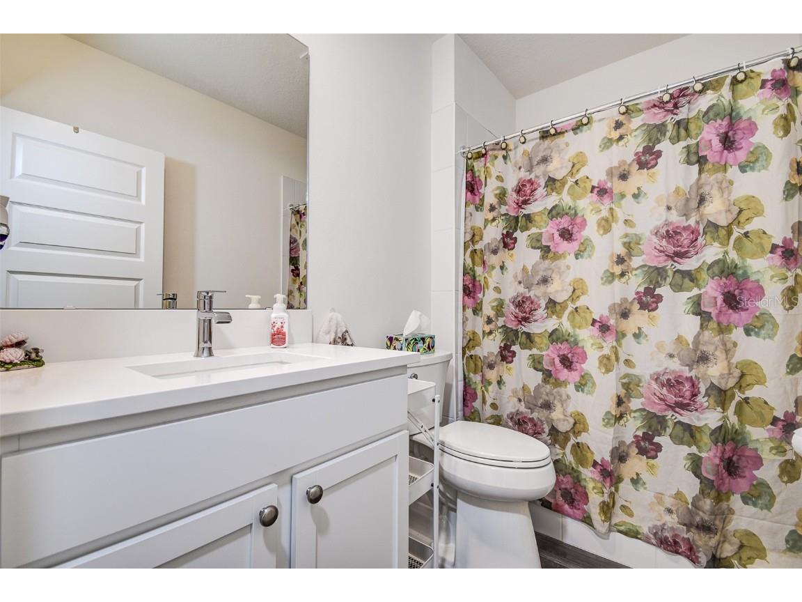 31871 Treasure Dock Isle Wesley Chapel FL 33545 TB8427627 image21