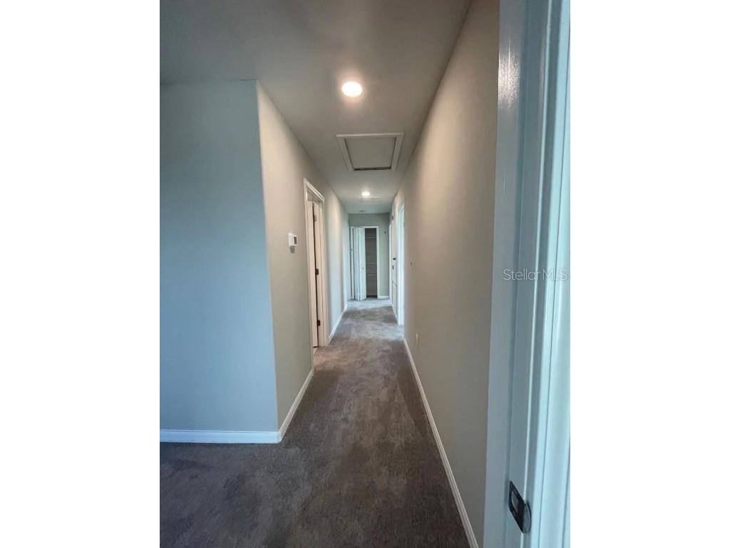 31875 Sun Kettle Loop Wesley Chapel FL 33545 TB8444022 image14