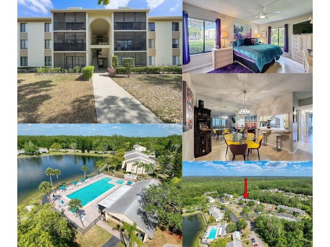 3188 Lake Pine Way S #B1 Tarpon Springs FL 34688 TB8501211 image1