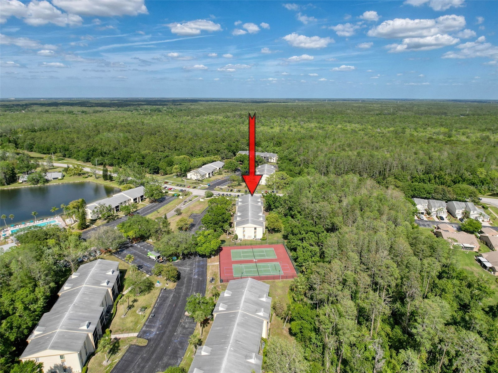 3188 Lake Pine Way S #B1 Tarpon Springs FL 34688 TB8501211 image15