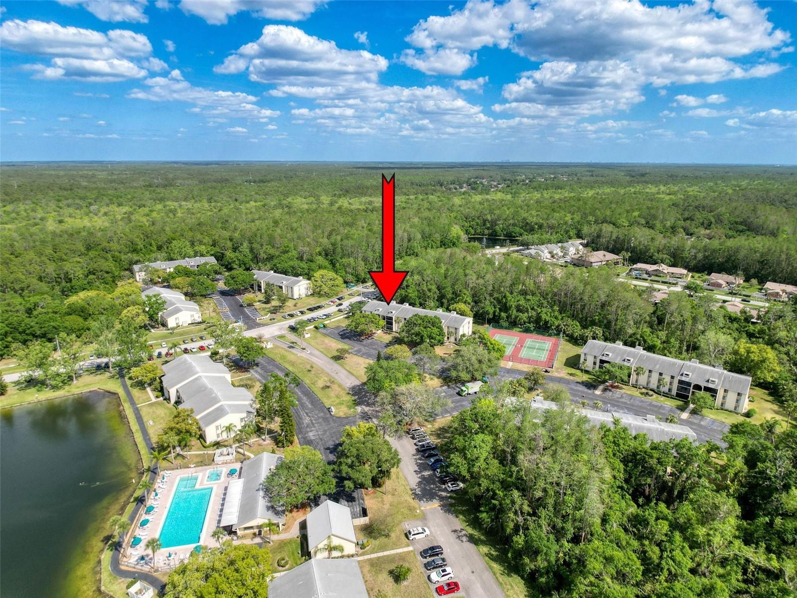 3188 Lake Pine Way S #B1 Tarpon Springs FL 34688 TB8501211 image16