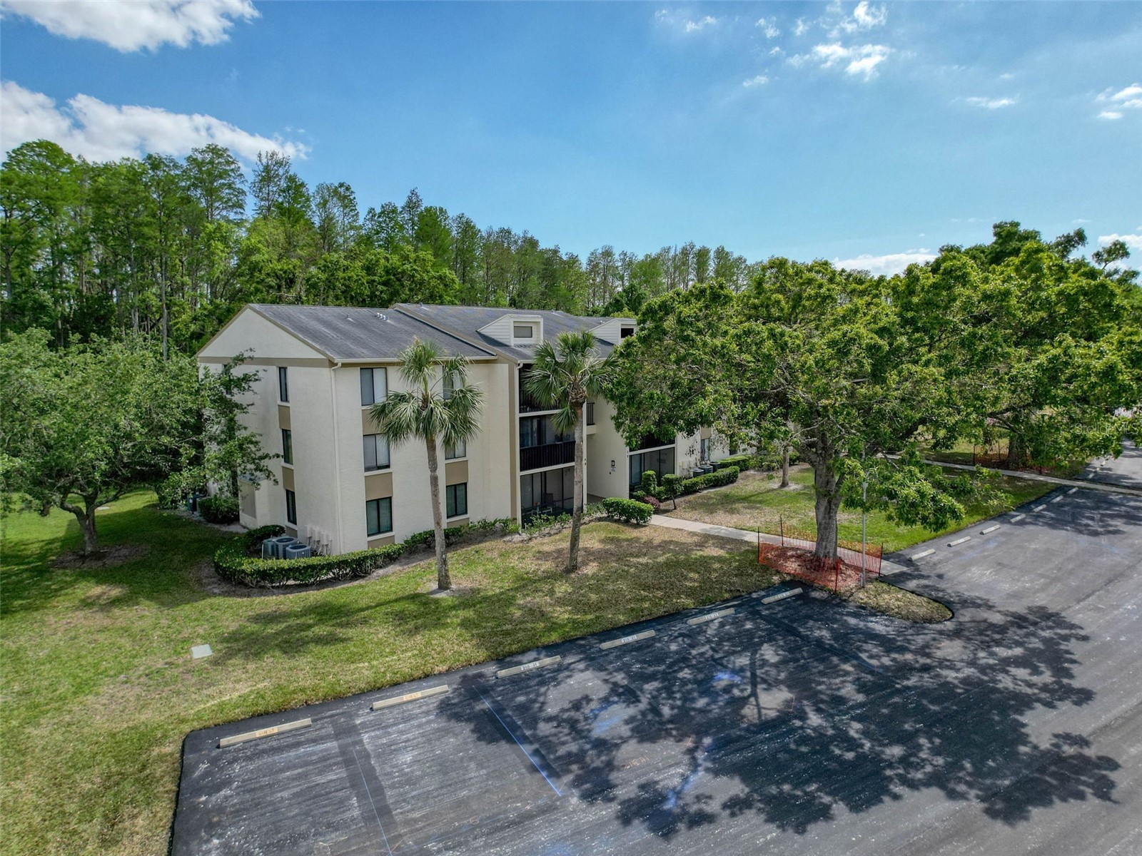 3188 Lake Pine Way S #B1 Tarpon Springs FL 34688 TB8501211 image2