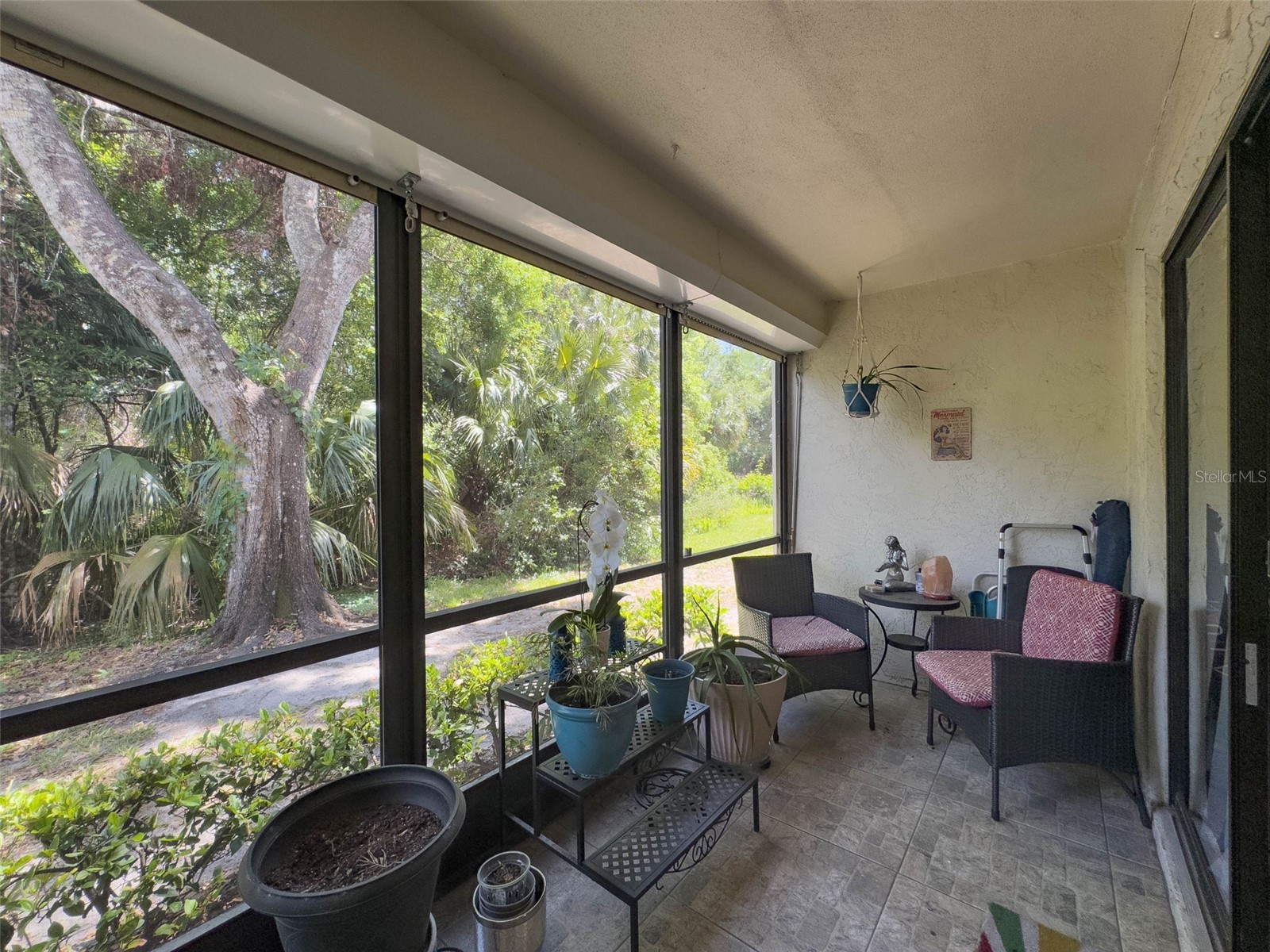 3188 Lake Pine Way S #B1 Tarpon Springs FL 34688 TB8501211 image7
