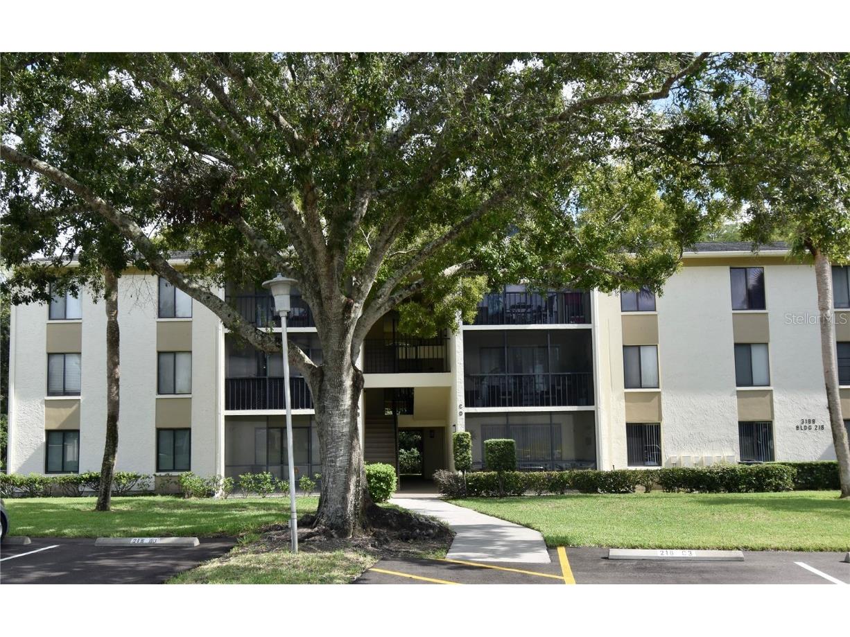 3188 Lake Pine Way S #D1 Tarpon Springs FL 34688 W7878843 image27