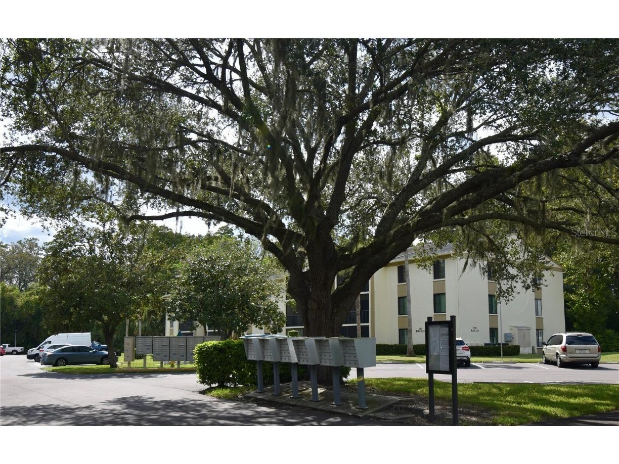 3188 Lake Pine Way S #D1 Tarpon Springs FL 34688 W7878843 image30