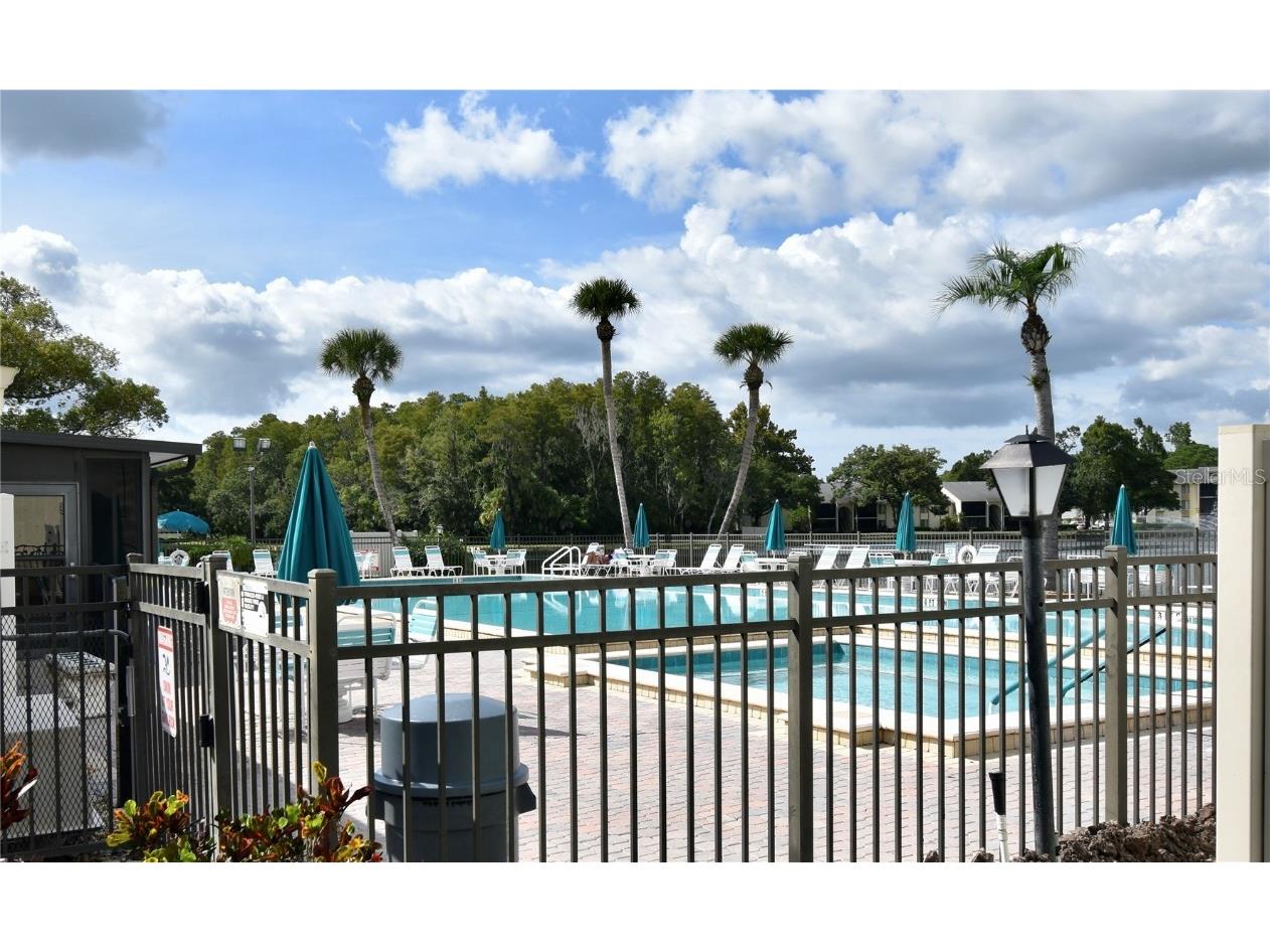 3188 Lake Pine Way S #D1 Tarpon Springs FL 34688 W7878843 image32