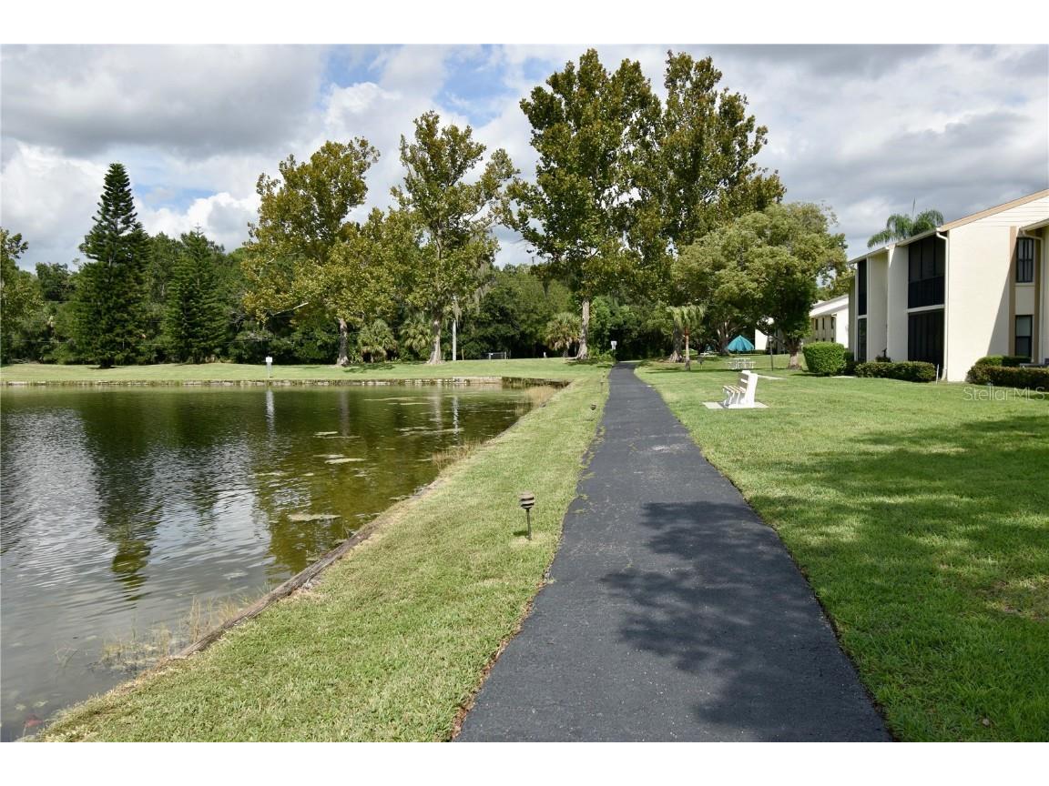 3188 Lake Pine Way S #D1 Tarpon Springs FL 34688 W7878843 image33
