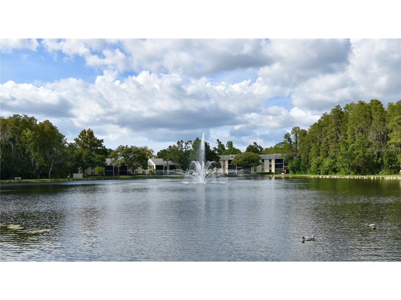 3188 Lake Pine Way S #D1 Tarpon Springs FL 34688 W7878843 image34