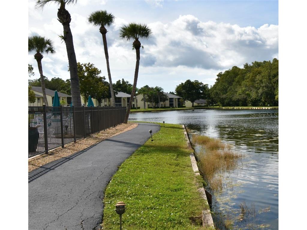 3188 Lake Pine Way S #D1 Tarpon Springs FL 34688 W7878843 image35