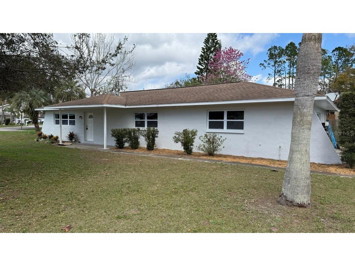 3188 Lake Saxon Land O Lakes FL 34639 TB8443795 image1