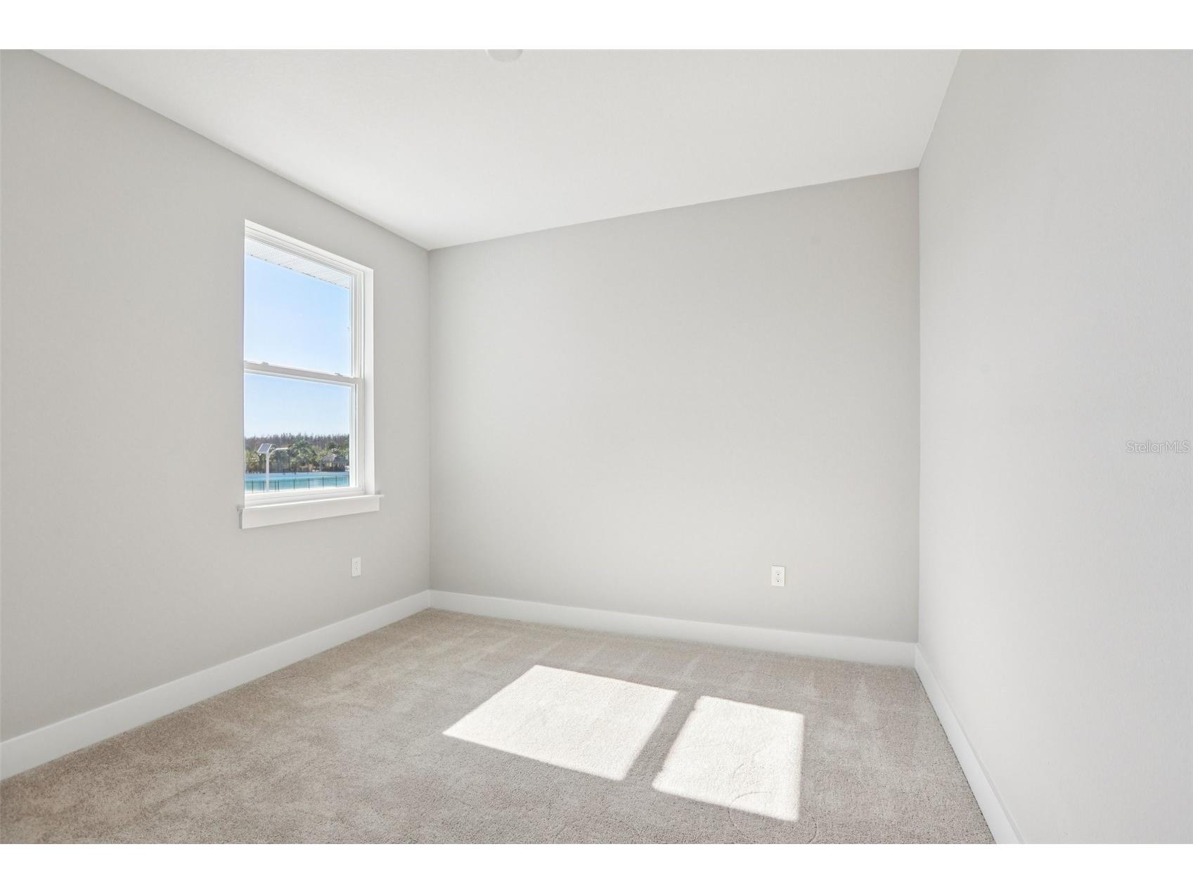 31881 Oyster Pier Court Wesley Chapel FL 33545 TB8443823 image24