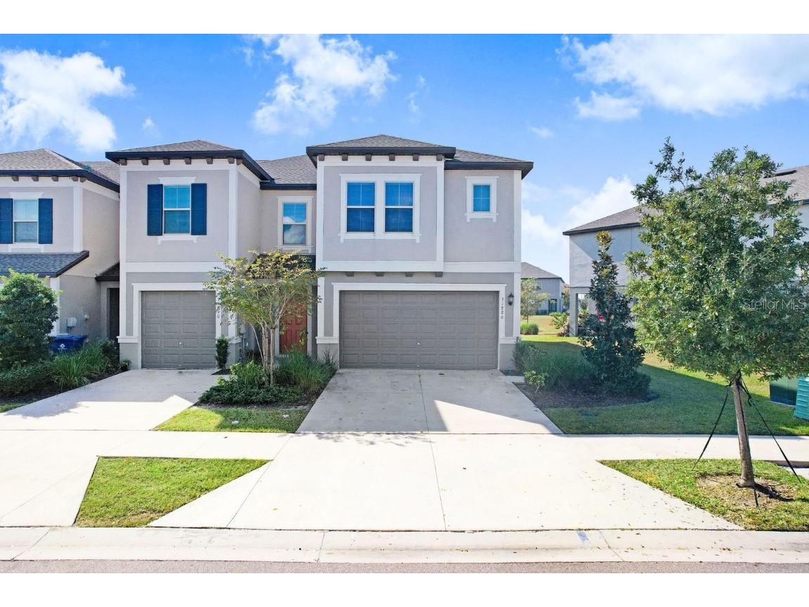 31886 Blue Passing Loop Wesley Chapel FL 33545 TB8451162 image1