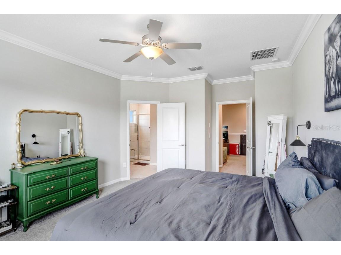 31886 Blue Passing Loop Wesley Chapel FL 33545 TB8451162 image11