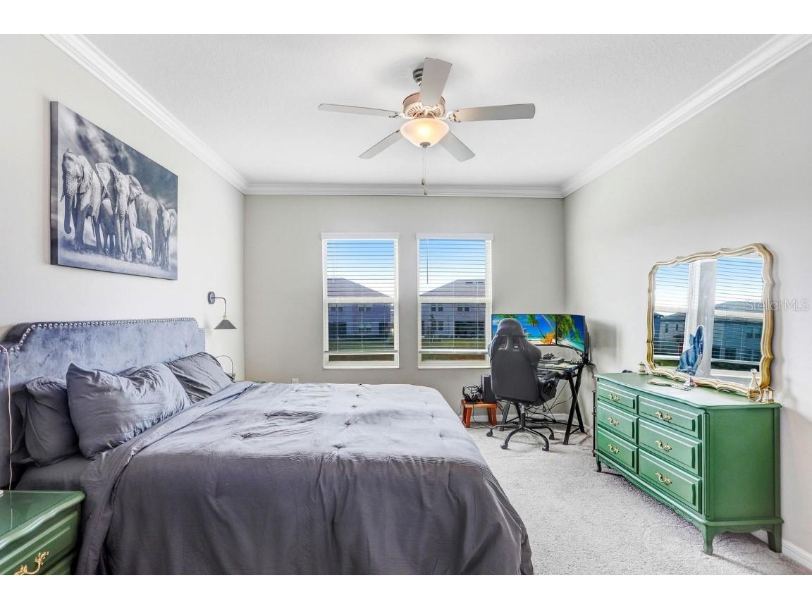 31886 Blue Passing Loop Wesley Chapel FL 33545 TB8451162 image12