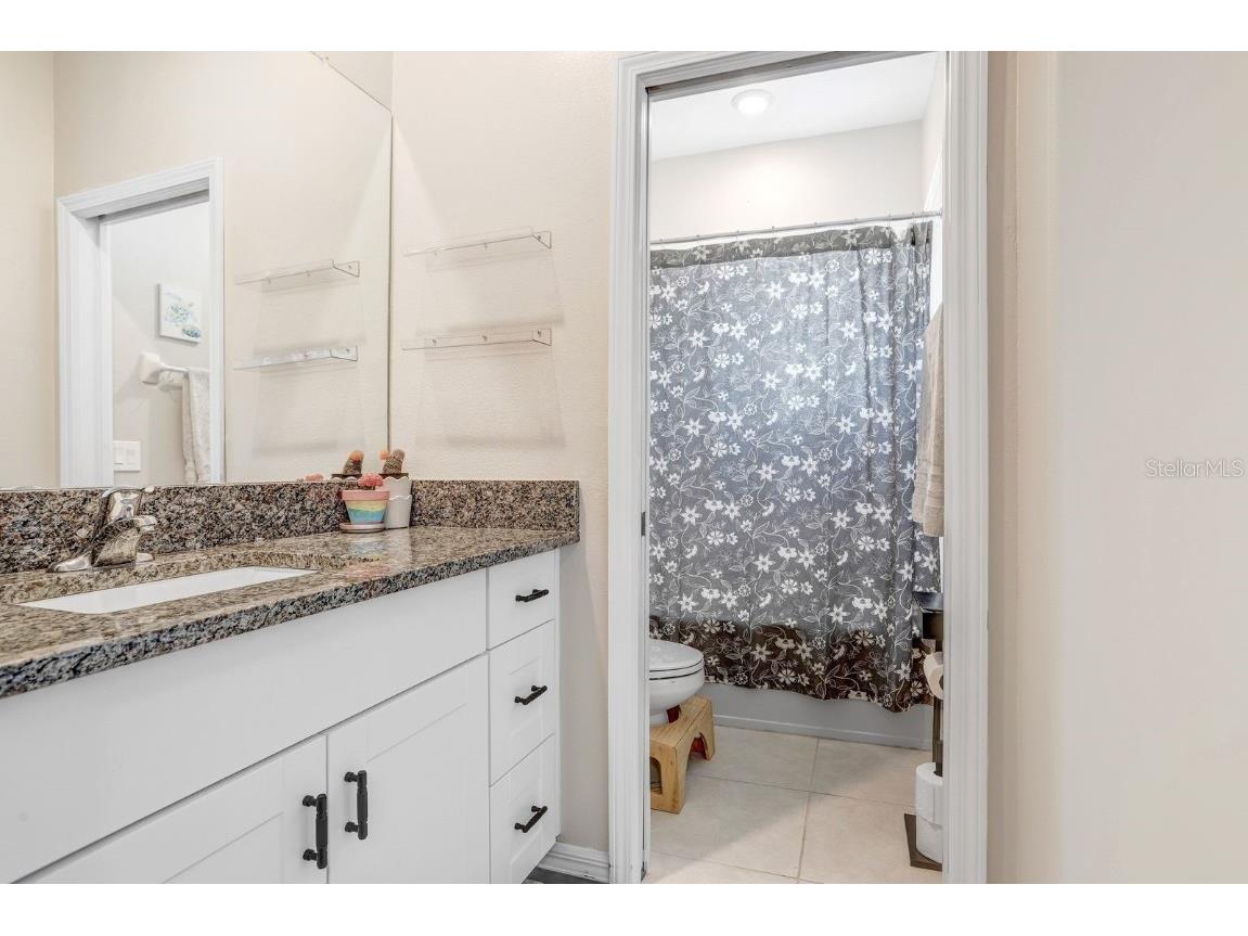 31886 Blue Passing Loop Wesley Chapel FL 33545 TB8451162 image15