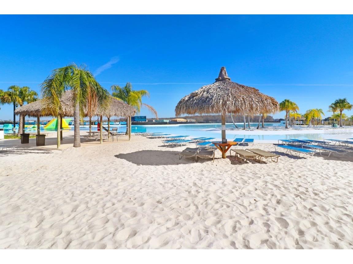 31886 Blue Passing Loop Wesley Chapel FL 33545 TB8451162 image23