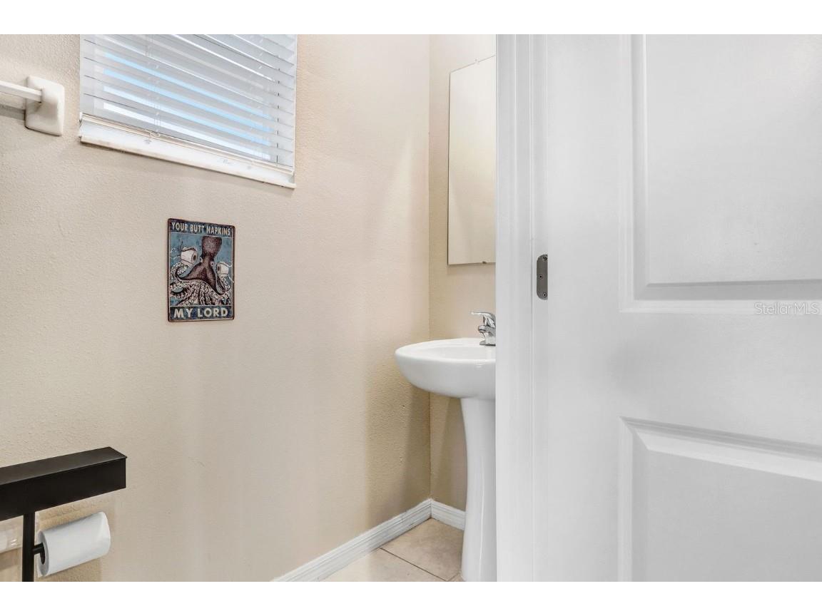 31886 Blue Passing Loop Wesley Chapel FL 33545 TB8451162 image9