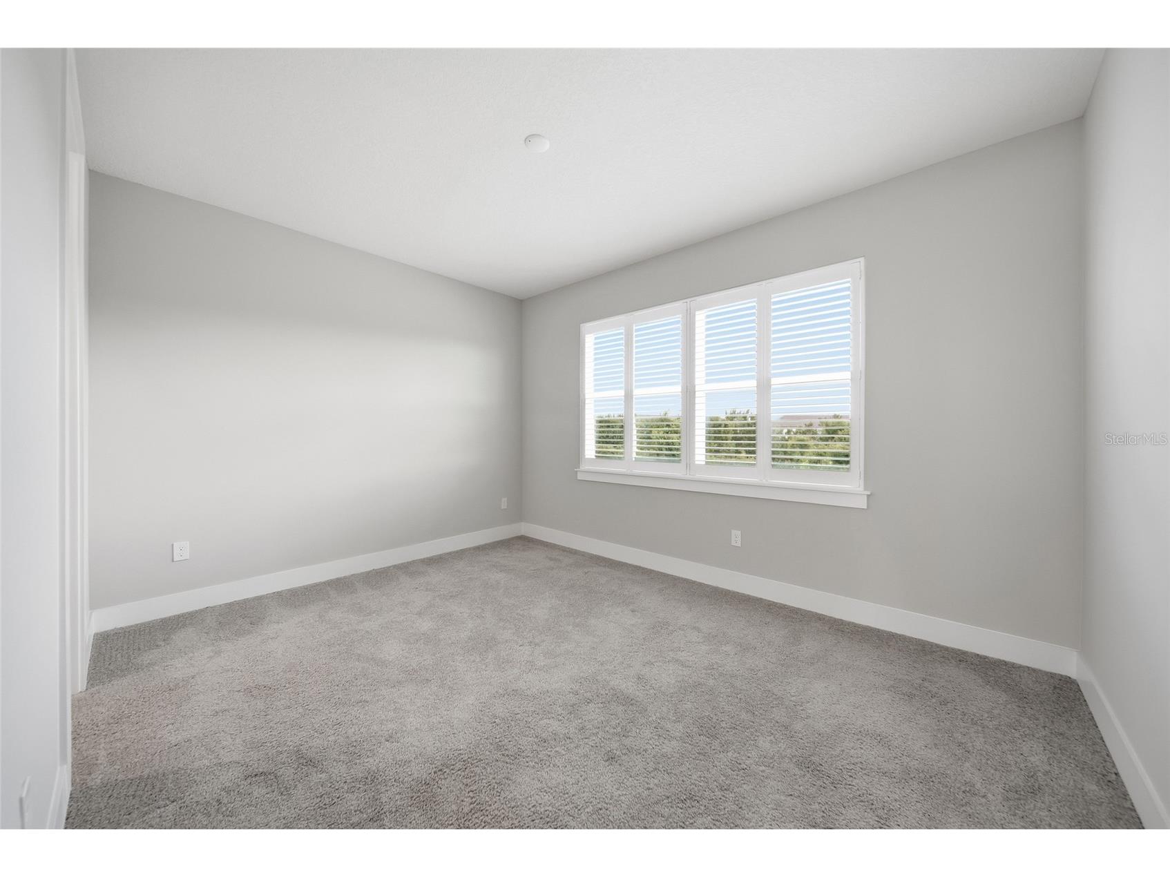 31887 Anchor Point Drive Wesley Chapel FL 33545 TB8521772 image32